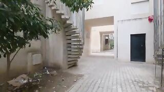 The stray cat ran down the stairs to get a little love and a lot of food.