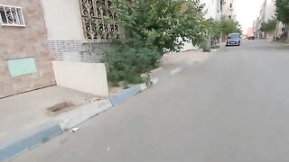 The stray cat tried to grab the camera while her friend was eating.