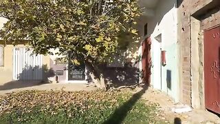 The stray cat showed his happiness when he saw the lady going to get food.
