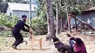 Committing funny video 2026