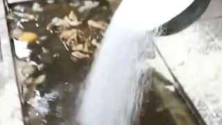 Serbuk Putih Ajaib! Got Kotor Langsung Putar Balik Jadi Bersih