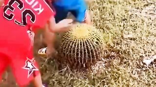 A friend will always help