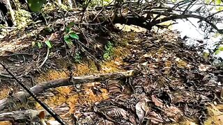 Letting Go Has Its Time