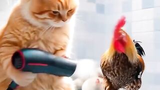 Perdi um amigo hoje.