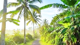walking while listening to the sound of the rain