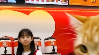 Oyen & Momoyo