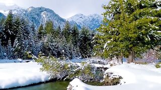 Switzerland Natural Beauty
