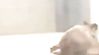 A creepy video found on the internet #horror #scary
