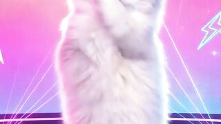 Dancing cat