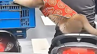 Funny Cat Makes You Laugh