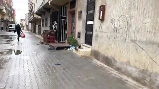 Hungry kittens sleeping on a piece of cardboard on the street.