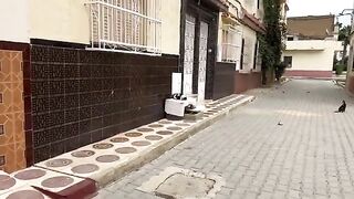 Mama Cat who lives on the street and her cute friends are very hungry.
