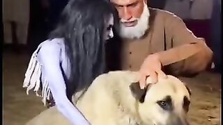 Dooooog