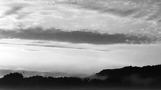 A Warning for every Muslim #drisrarahmed #islamicreminder #iman #taqwa #quranquotes