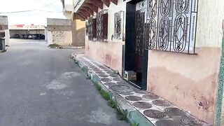 A stray calico cat will not leave its cartoon home until it is given food.