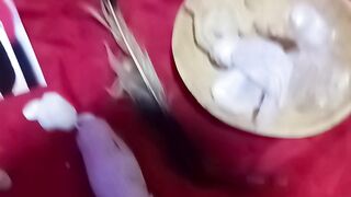 +2347069966756 INSTANT REVENGE SPELL CASTER THAT WORK PERFECTLY