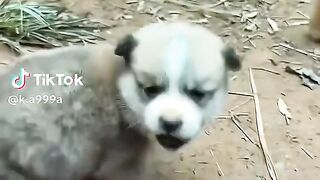 ????????????????‍????