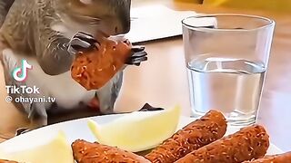 ????️????️????️????️????️