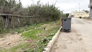 The stray kittens take turns watching me so that I do not approach them while they are eating.