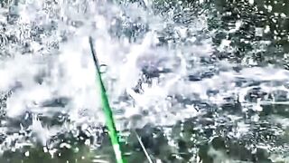 Fishing Teaches Silent Patience