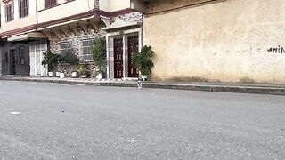 This stray cat was suspicious of approaching at first.