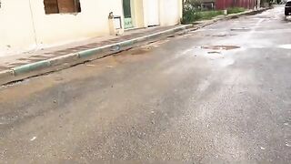 The skinny stray ginger cat and his calico friend are cute and hungry.