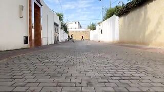 This cute cat couple shows us how friendly they are to us in a cute way.