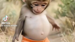 ????????????????????