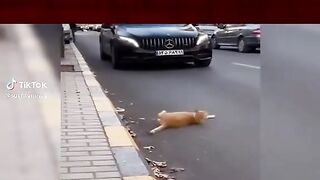 fxhbfgtn