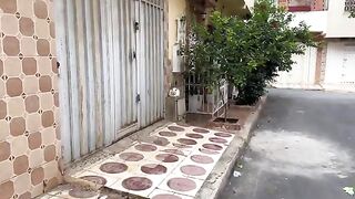 One of the shy tabby cats came for a short test after seeing the white cat's behavior with humans.