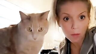 Kawai cats
