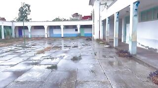 The lame cat who lives in the abandoned school came to me to say thanks for the food.
