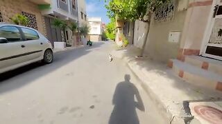 The cute cat meows and leads us to the car where the food is.
