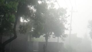 Suasana pagi di pedesaan