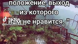 Мудрые слова