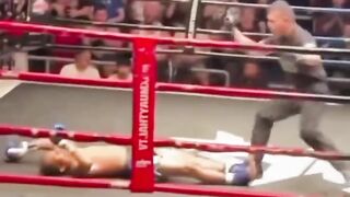 A compilation of incredible and funny knockouts