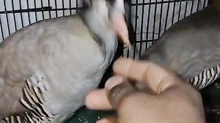 Fhjkfjkkfg