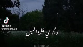 نشيد جميل