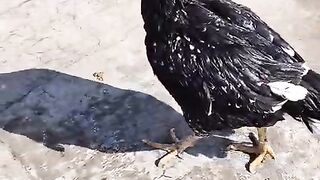 Do you go to school?