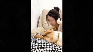 Funniest Cats And Dogs