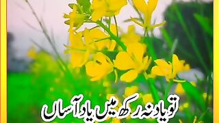 To yad na kr me yad asa