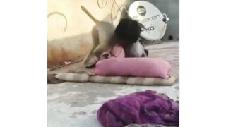 Funny animal videos |Funniest animals video 2023