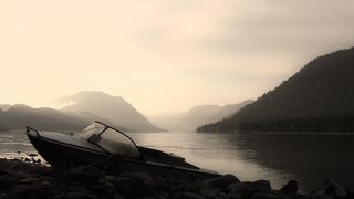 The Ambientalist - In A Better World