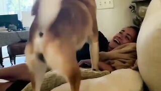 Wow video | funny video
