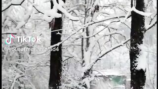 Snow fall in Pakistan waoo