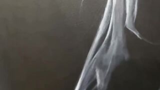 Classic horse painting