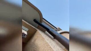Funny animals - Funny cats / dogs - Funny animal videos / Best videos
