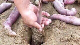 Catching