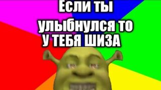 Тик ток пиколы