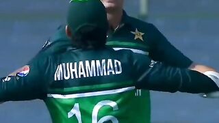 Cricket